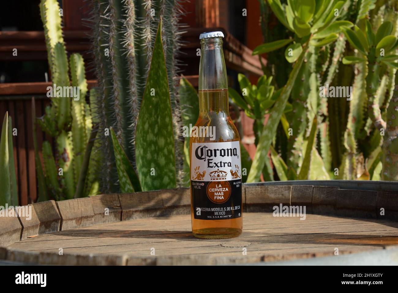 Netanya. Israël - septembre 21.09.2021. Corona Extra est un lager pâle produit par Cerveceria Modelo au Mexique pour la distribution et l'exportation à l'intérieur d'un pays Banque D'Images