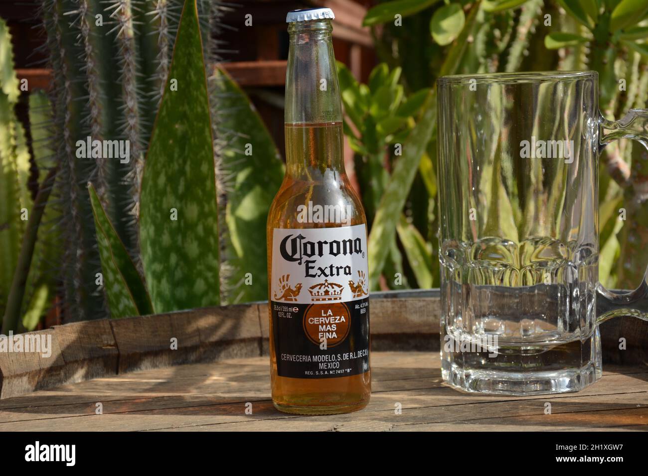 Netanya. Israël - septembre 21.09.2021. Corona Extra est un lager pâle produit par Cerveceria Modelo au Mexique pour la distribution et l'exportation à l'intérieur d'un pays Banque D'Images