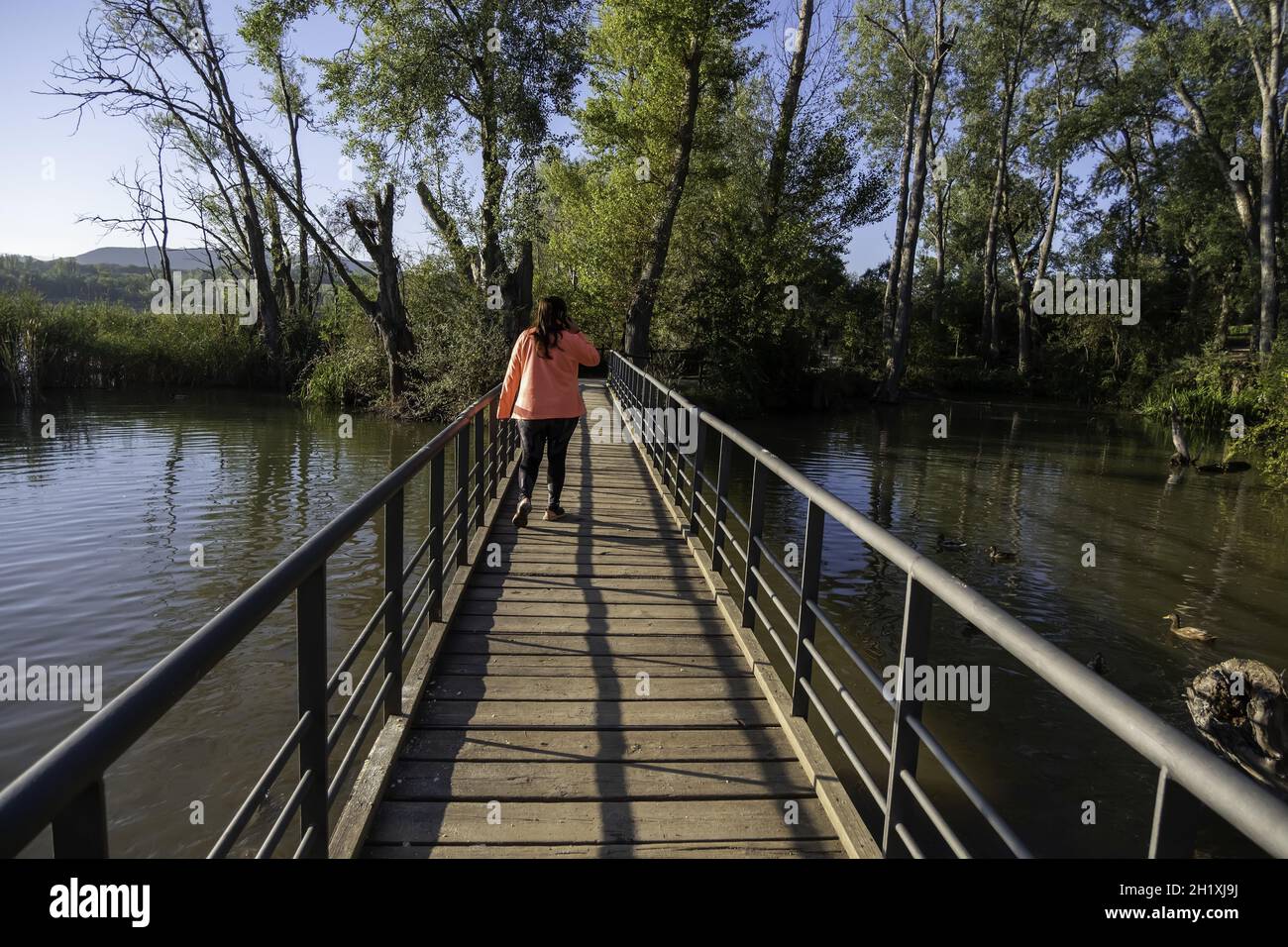 Détail du pont en bois pour piétons dans la nature, réservoir Banque D'Images