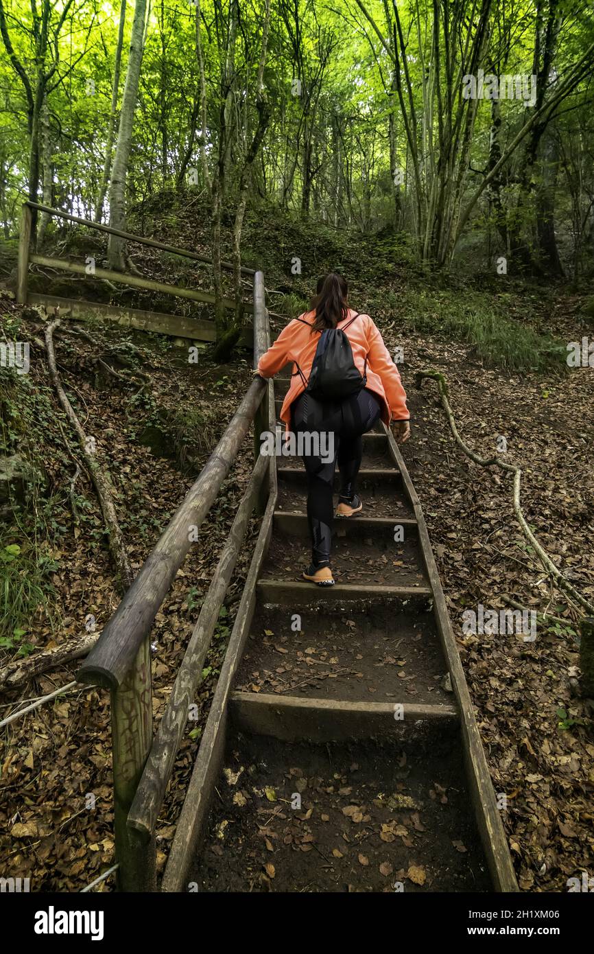Détail du chemin dans la forêt avec des rampes en bois pour piétons Banque D'Images