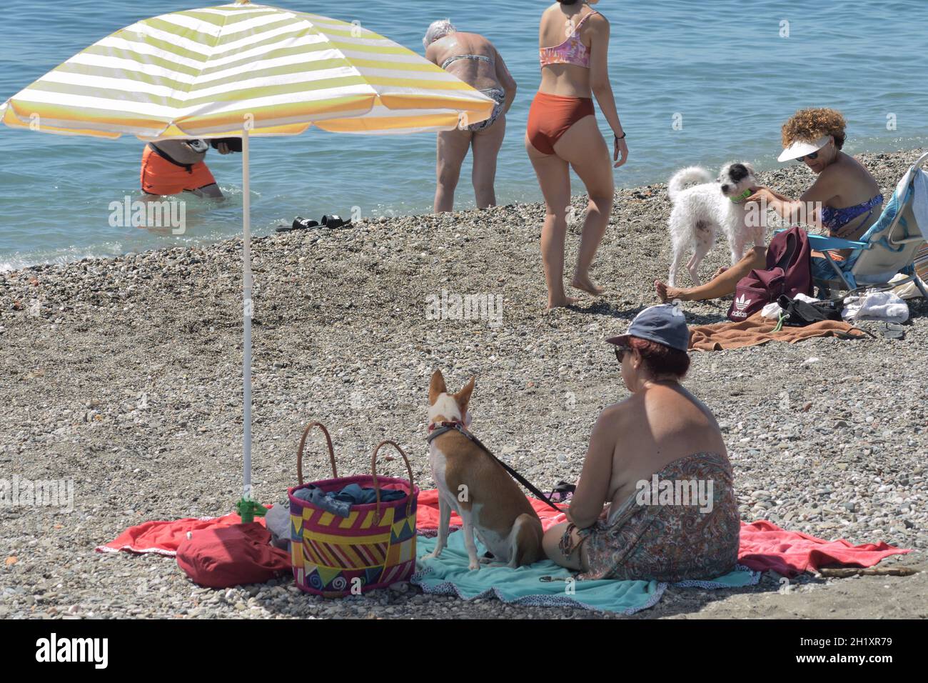 Chien et femme dans une serviette sous un parapluie sur une plage canine un jour d'été Banque D'Images