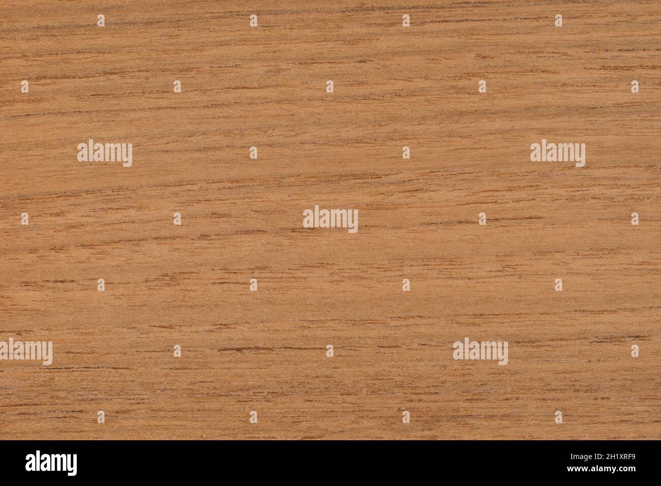 Motif de texture de panneau en bois exotique de teck Banque D'Images