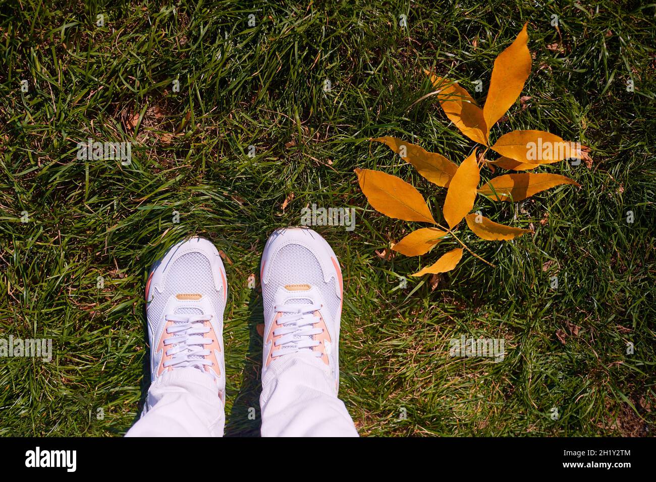 pieds sur herbe verte avec feuilles jaunes avec espace de copie.Vue de dessus arrière-plan d'automne. Femme jambes dans des baskets sur gazon fané.vacances ou vacances d'automne Banque D'Images