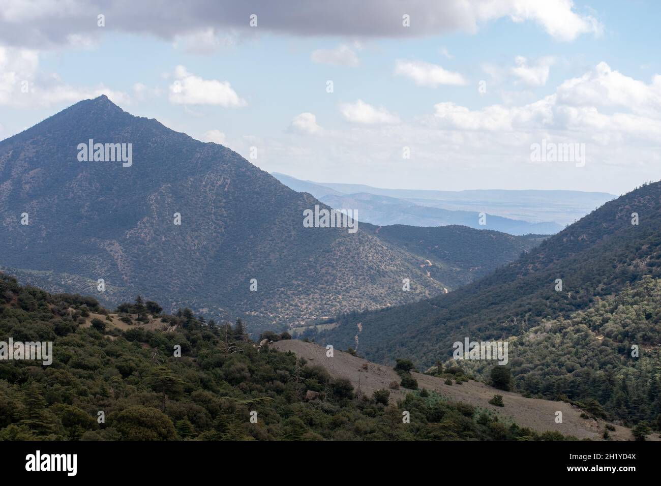 Parc national de Belezma dans la région d'Aures à Batna, en Algérie Banque D'Images