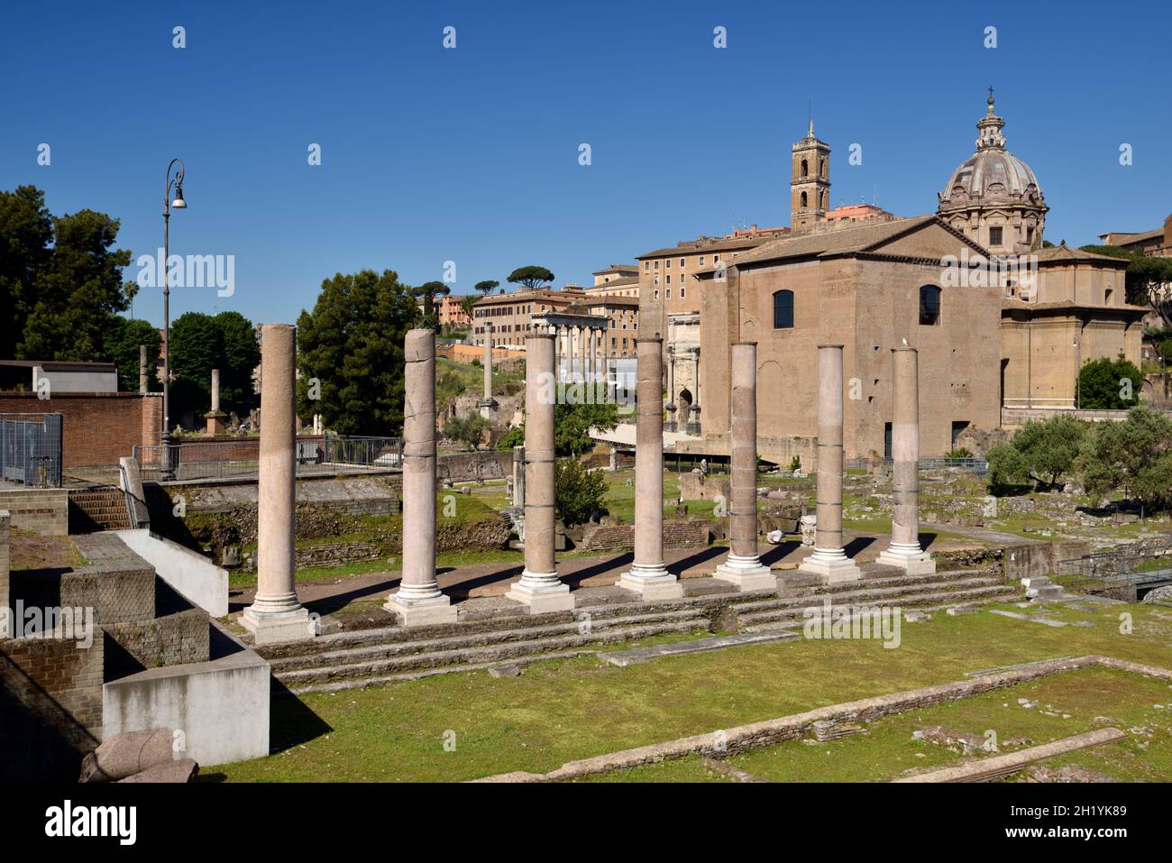 Italie, Rome, Forum romain, Foro della Pace (Forum de la paix), colonnes du Temple de la paix Banque D'Images