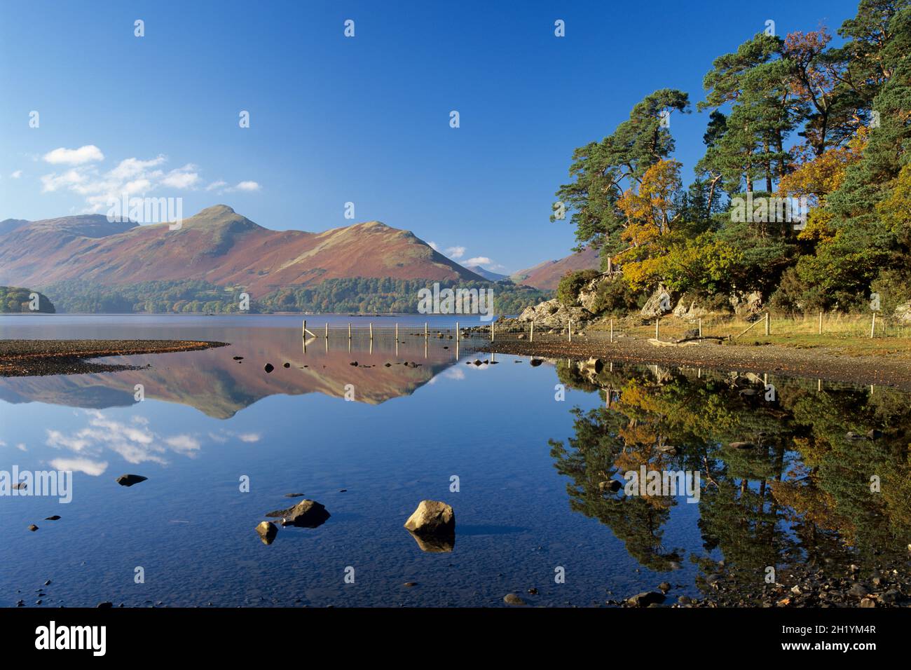 Derwent Water et Cat Bells montagne en automne, Keswick, Lake District, Cumbria, Angleterre,Royaume-Uni, Europe Banque D'Images