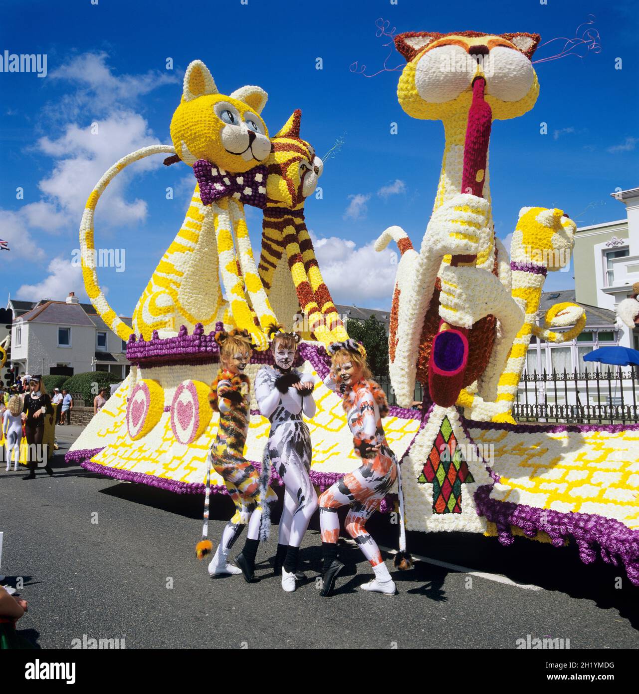 Fleurs de bataille Banque de photographies et d’images à haute