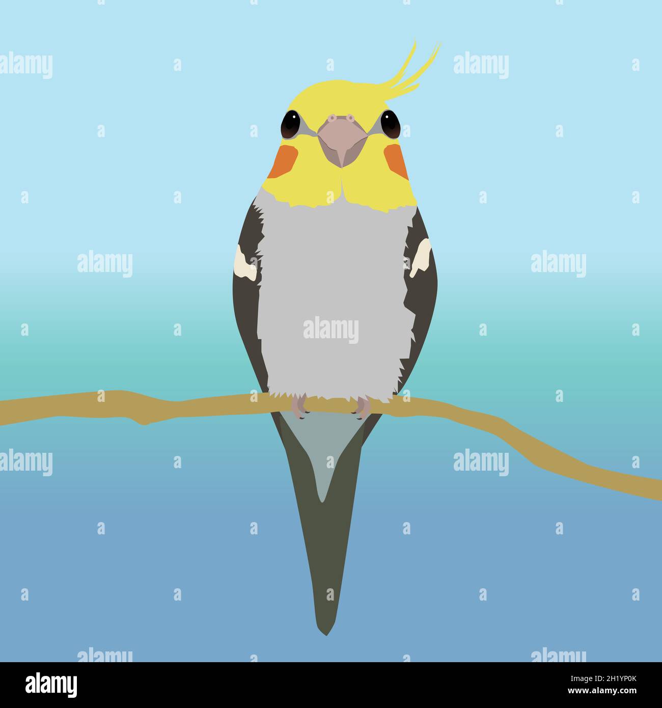 Une illustration d'un cocatier mâle très mignon assis sur une branche.L'oiseau vous regarde avec deux yeux, vous regardez son bec. Illustration de Vecteur