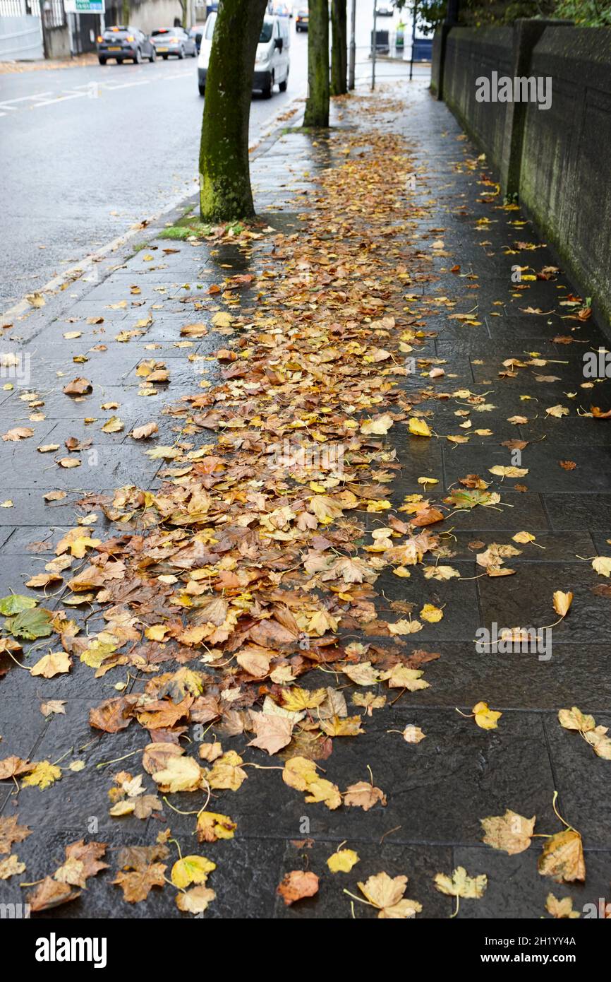 pluie humide trempée feuilles d'automne tombées causant un risque de glissade sur la rue de ville belfast en irlande du nord Banque D'Images