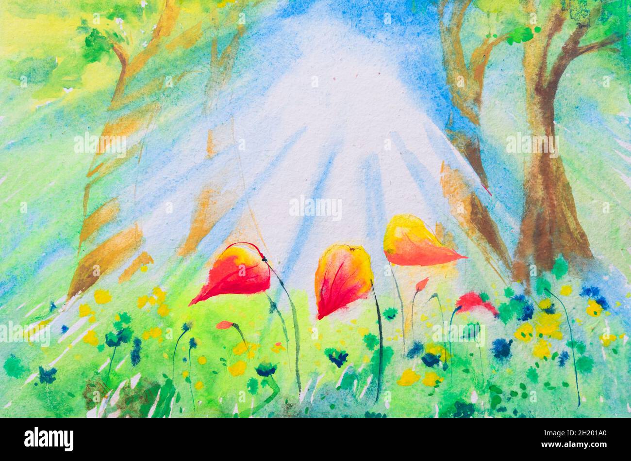 Belle peinture aquarelle d'une forêt lumineuse avec des poutres de soleil. Aquarelle peinte à la main Illustration de l'espoir Photo Stock - Alamy