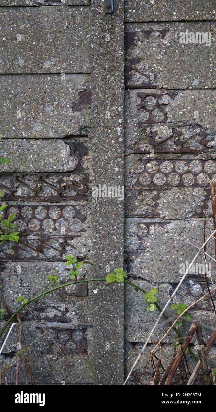 Panneaux de clôture en béton gris, fabriqués en fer recyclé mis au rebut comme renfort. Dates de la Guerre mondiale 2. Maintenant en déclin. Banque D'Images