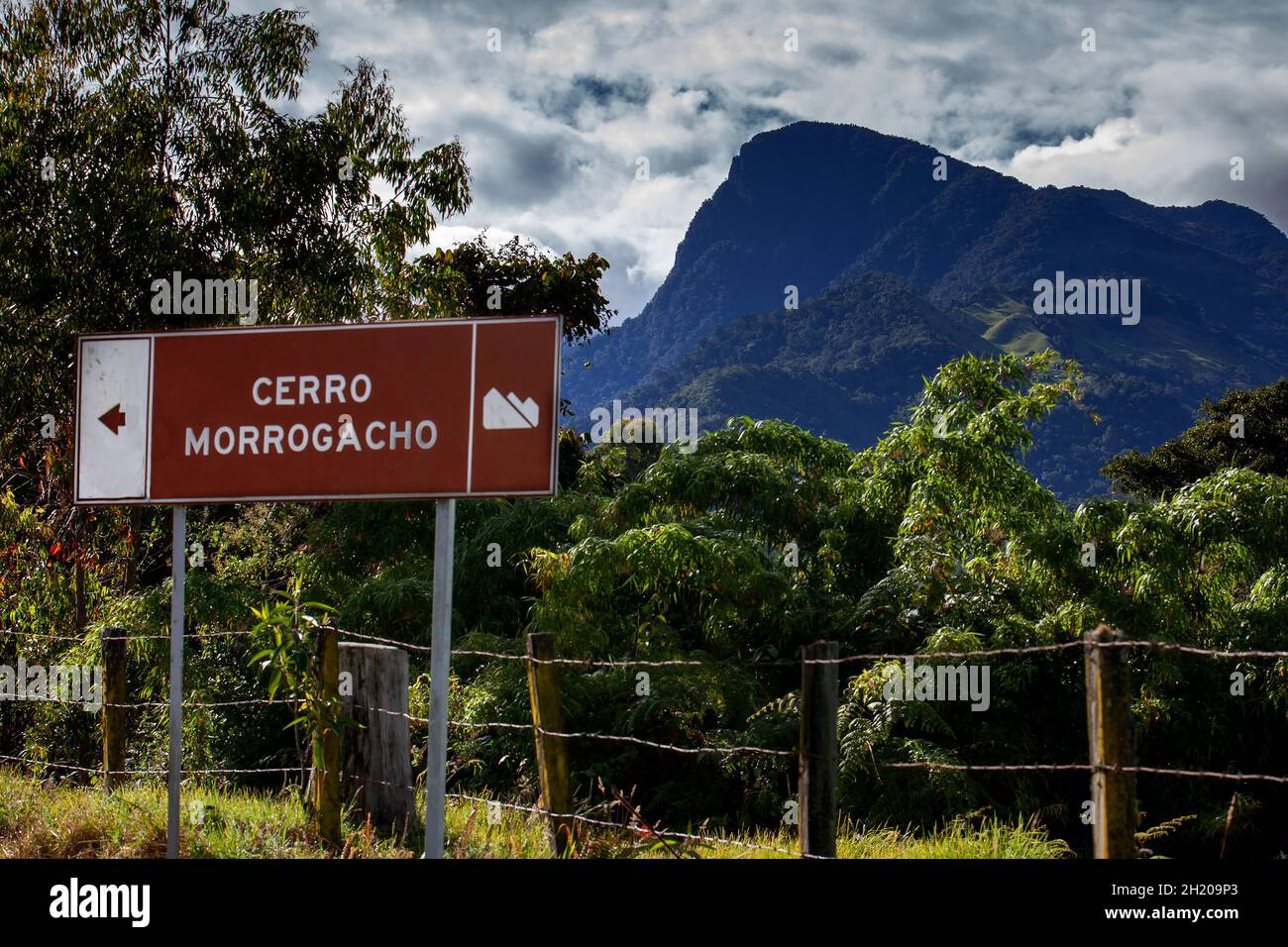 La célèbre colline de Morrogacho située sur la magnifique vallée de Cocora dans la région de Quindio en Colombie.Sur le panneau vous pouvez lire: Morrogacho Hill Banque D'Images