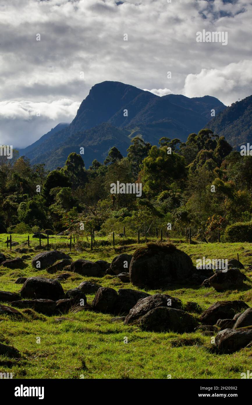 Magnifique paysage dans la vallée de Cocora avec la célèbre colline de Morrogacho en arrière-plan Banque D'Images