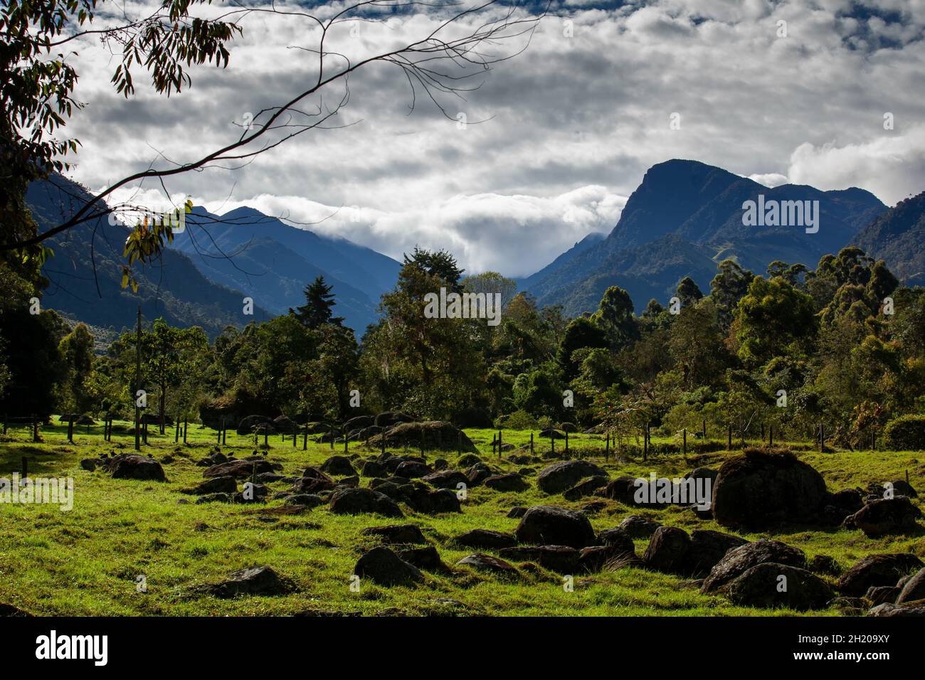 Magnifique paysage dans la vallée de Cocora avec la célèbre colline de Morrogacho en arrière-plan Banque D'Images