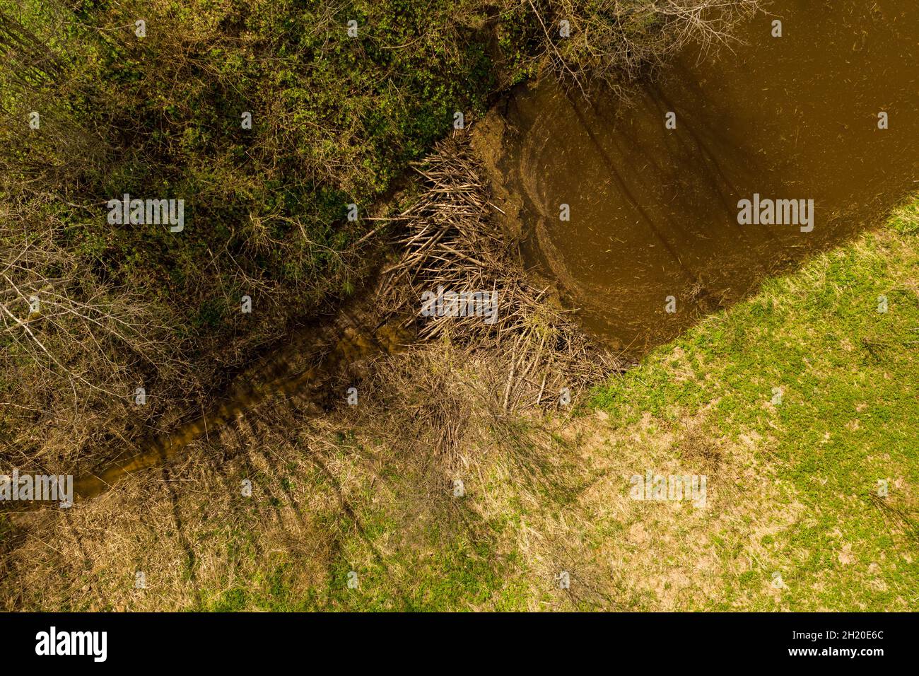 Vue de drone de petits barrages de castors sur une rivière pendant les jours d'été. Banque D'Images