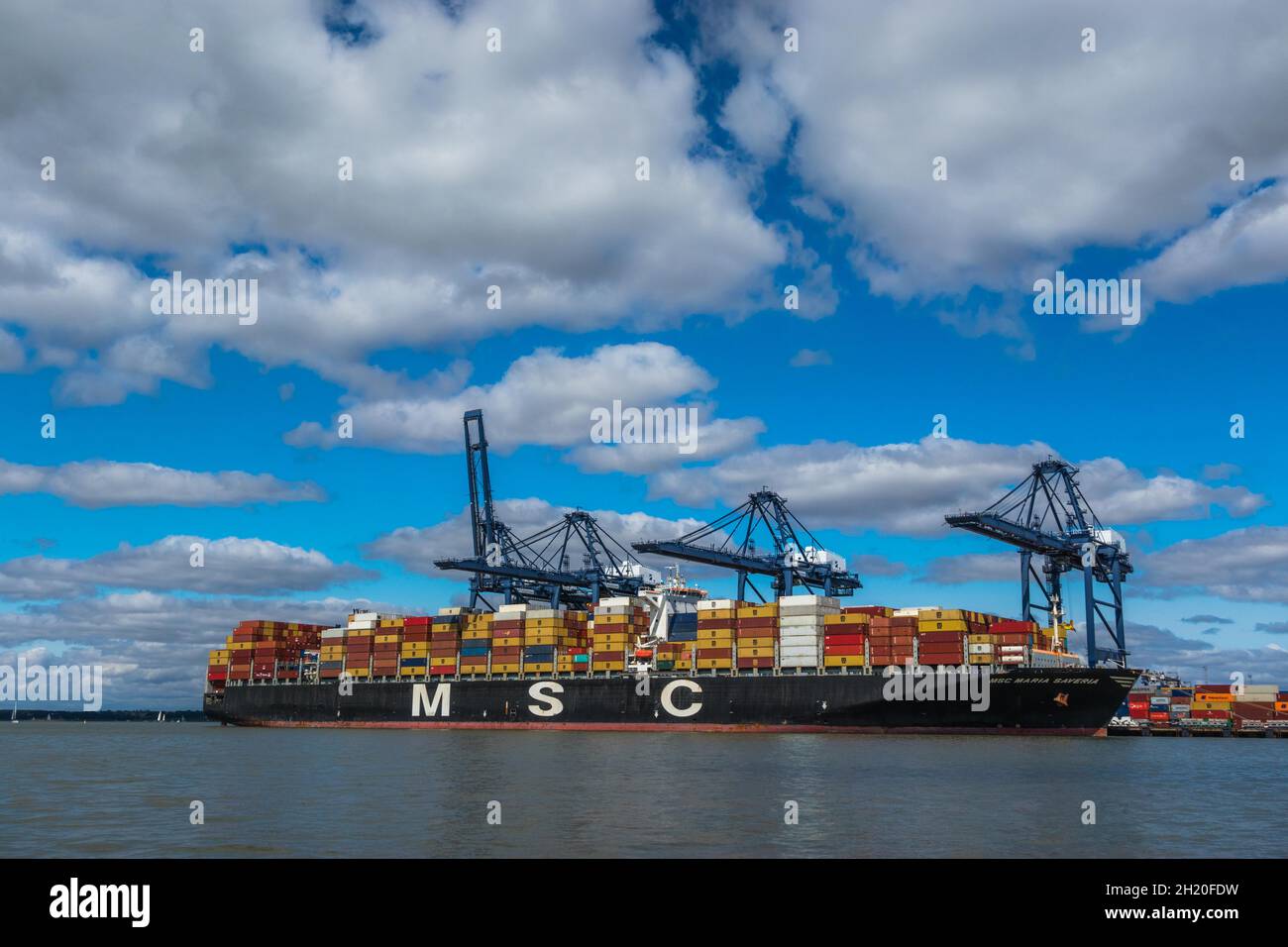 Le navire-conteneur MSC Maria Saveria le long de Side Trinity terminal une installation de manutention de conteneurs avec grues navire-terre à Felixstowe Docks dans Suffolk Royaume-Uni Banque D'Images