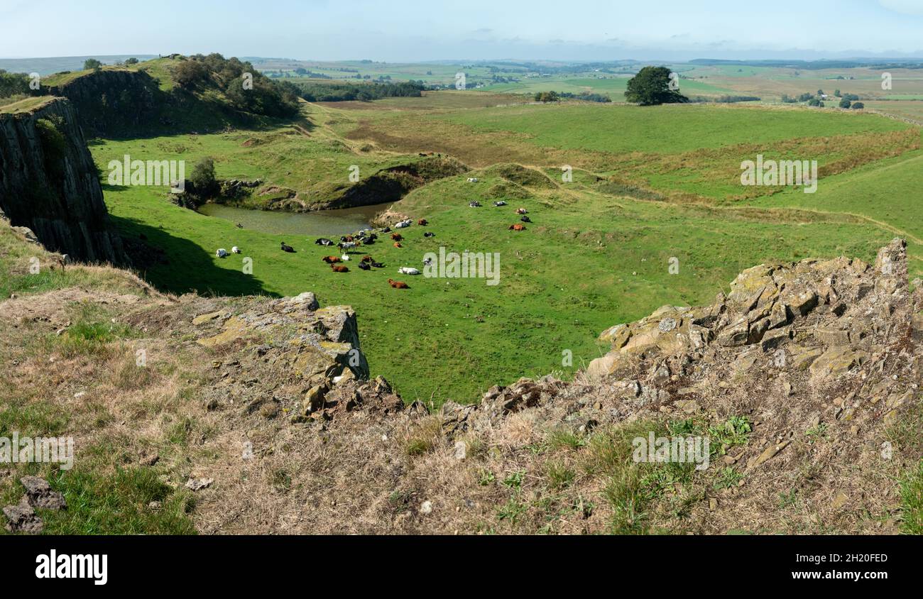 Vue depuis l'est de la carrière de Cawfields sur le mur d'Hadrien dans le parc national de Northumberland, en Angleterre. Banque D'Images