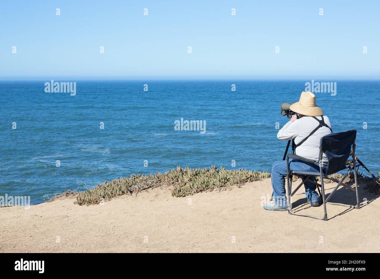 Un homme assis dans une chaise, vu de l'arrière, observant les baleines au  bord d'une falaise à Bodega Head en Californie Photo Stock - Alamy