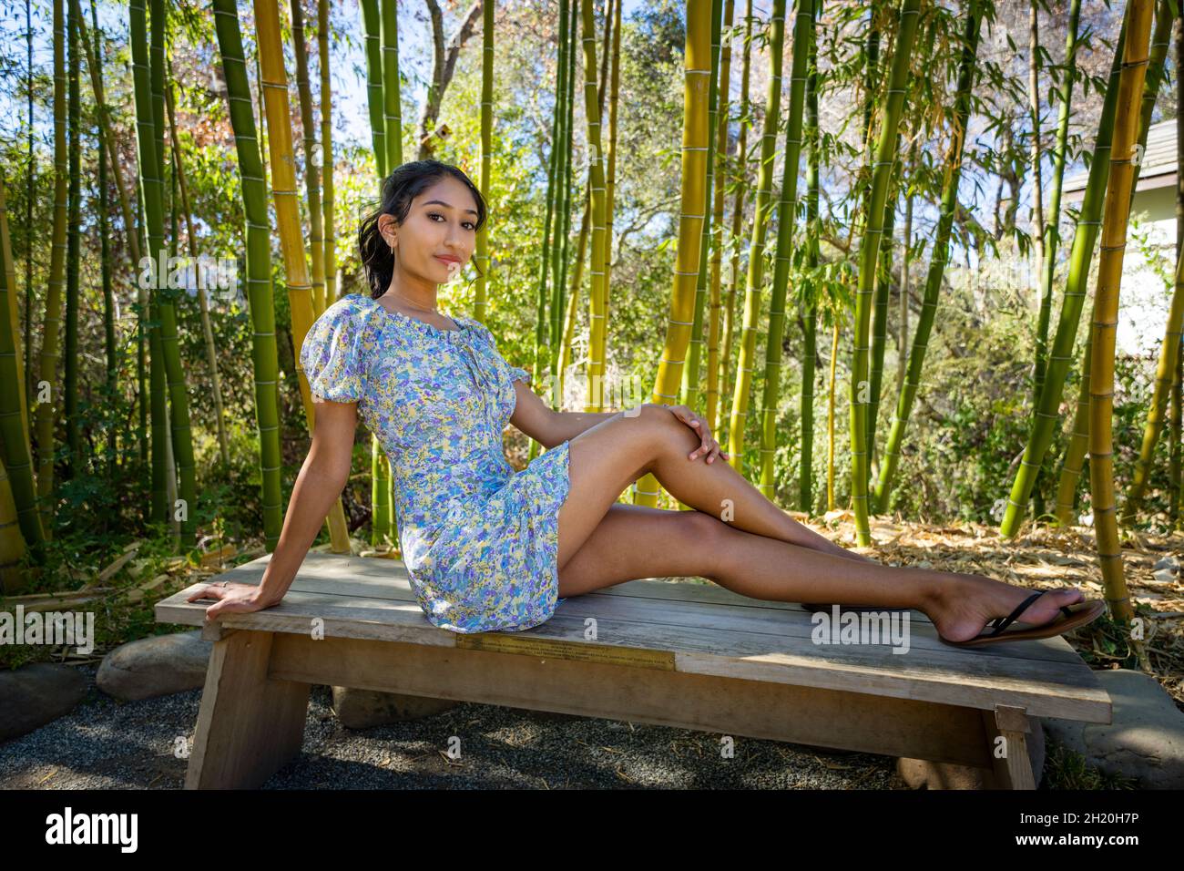 Un jeune étudiant multiracial de l'université assis sur un banc en bois près d'une forêt de bambou Banque D'Images