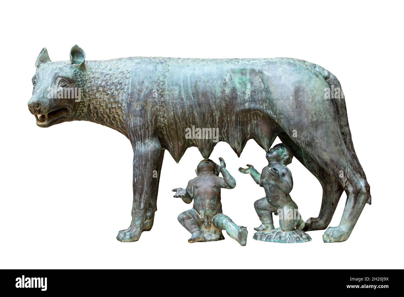 Luperca est le nom de l'elle-loup qui, selon la mythologie romaine, a supé Romulus et Remus, fondateurs de Rome, quand le roi Amulius leur a ordonné du faire Banque D'Images