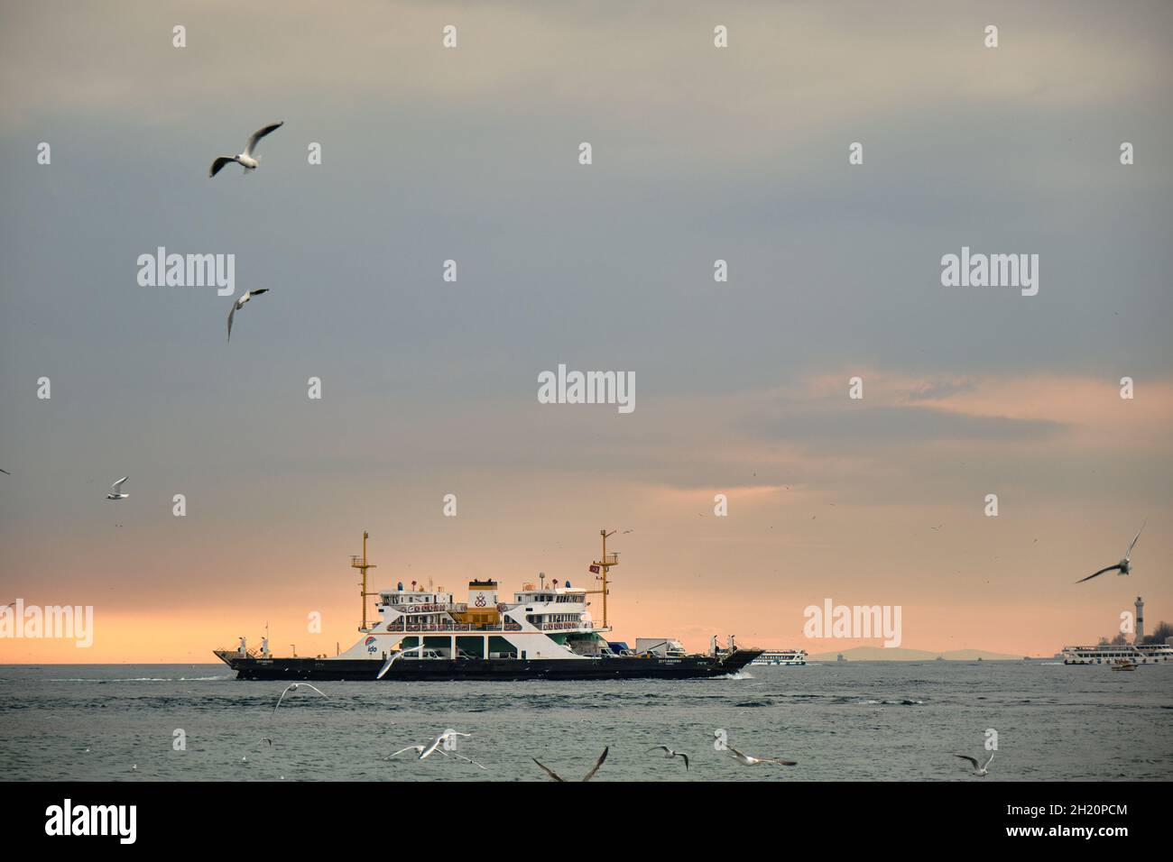 Les navires de transport internes et le ferry sur la corne dorée avec de nombreux mouettes après le coucher du soleil et le ciel couvert du bosphore à Istanbul. Banque D'Images