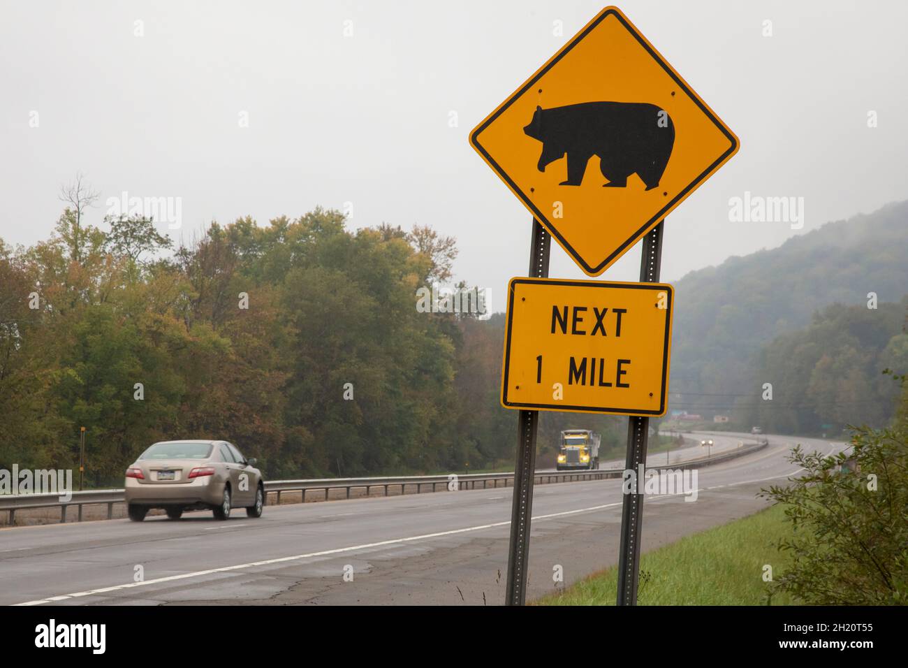 Calcaire, New York - Un panneau routier dans les montagnes Allegheny avertit que des ours peuvent traverser la route. Banque D'Images