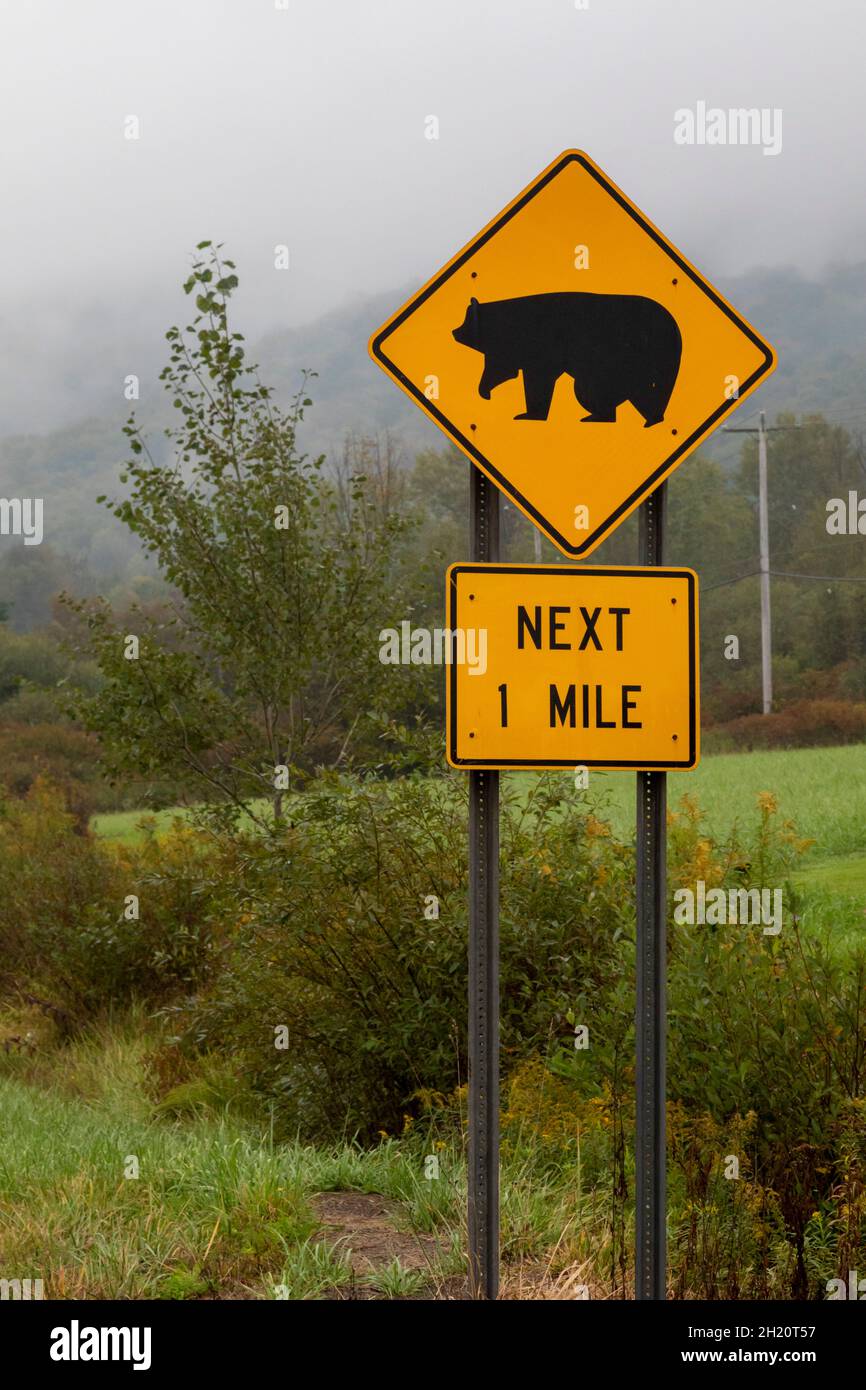 Calcaire, New York - Un panneau routier dans les montagnes Allegheny avertit que des ours pourraient traverser l'autoroute 219. Banque D'Images
