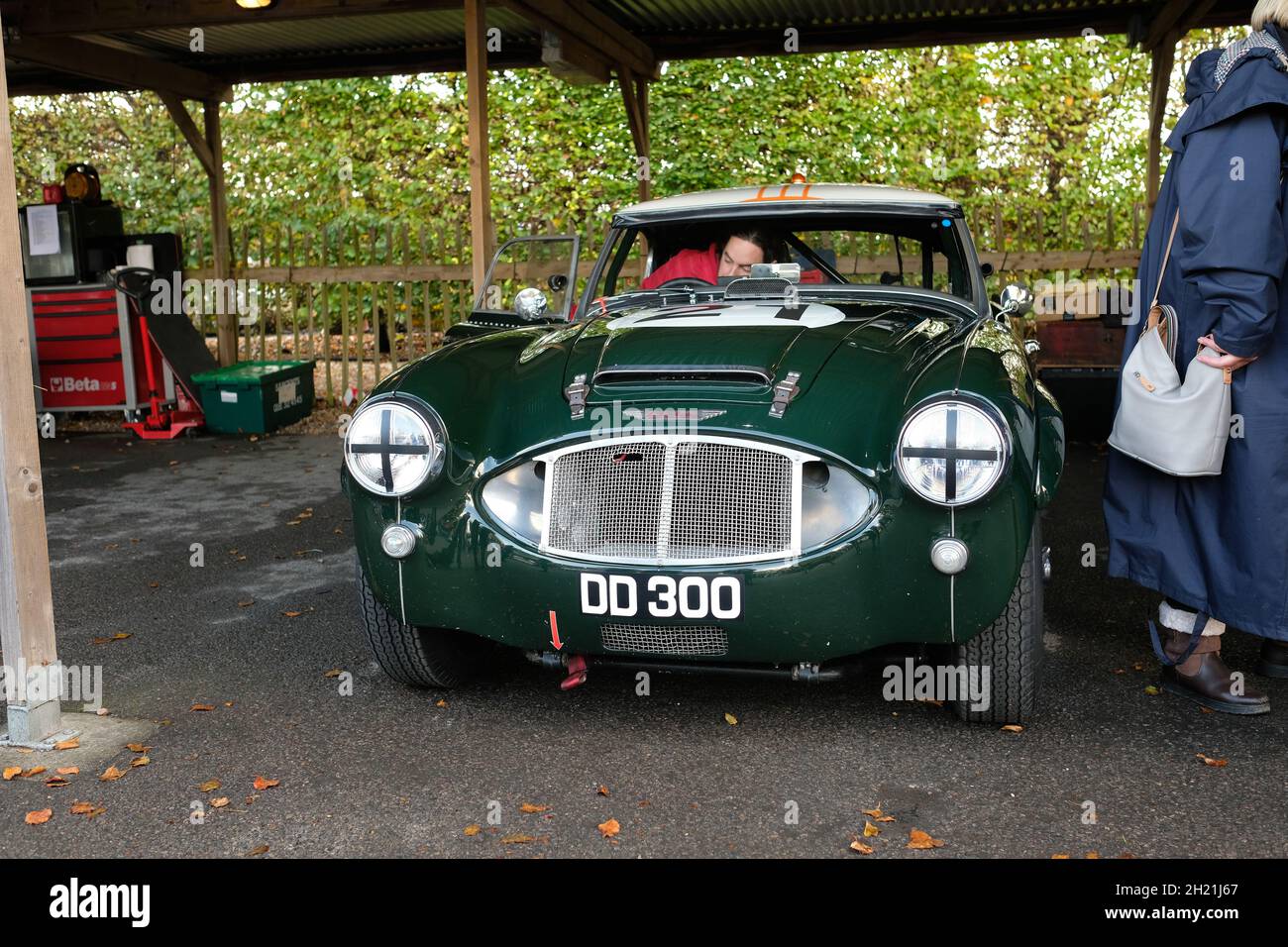 Octobre 2021 - le grand Austin Healey dans le paddock à la Covid a retardé la réunion des membres de Goodwood 78. Banque D'Images