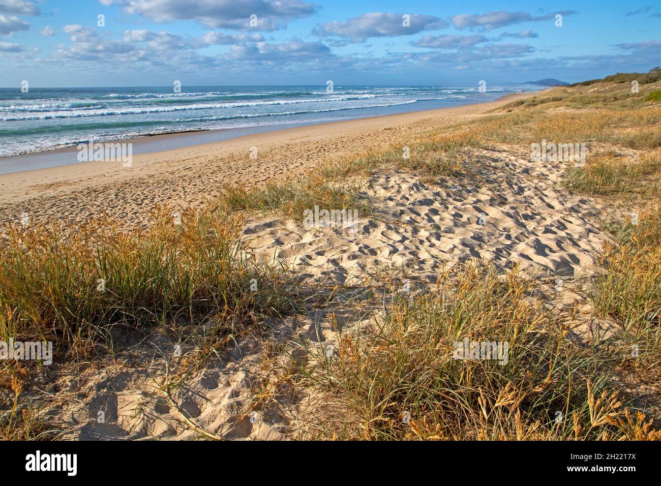 Sunrise Beach sur la Sunshine Coast Banque D'Images