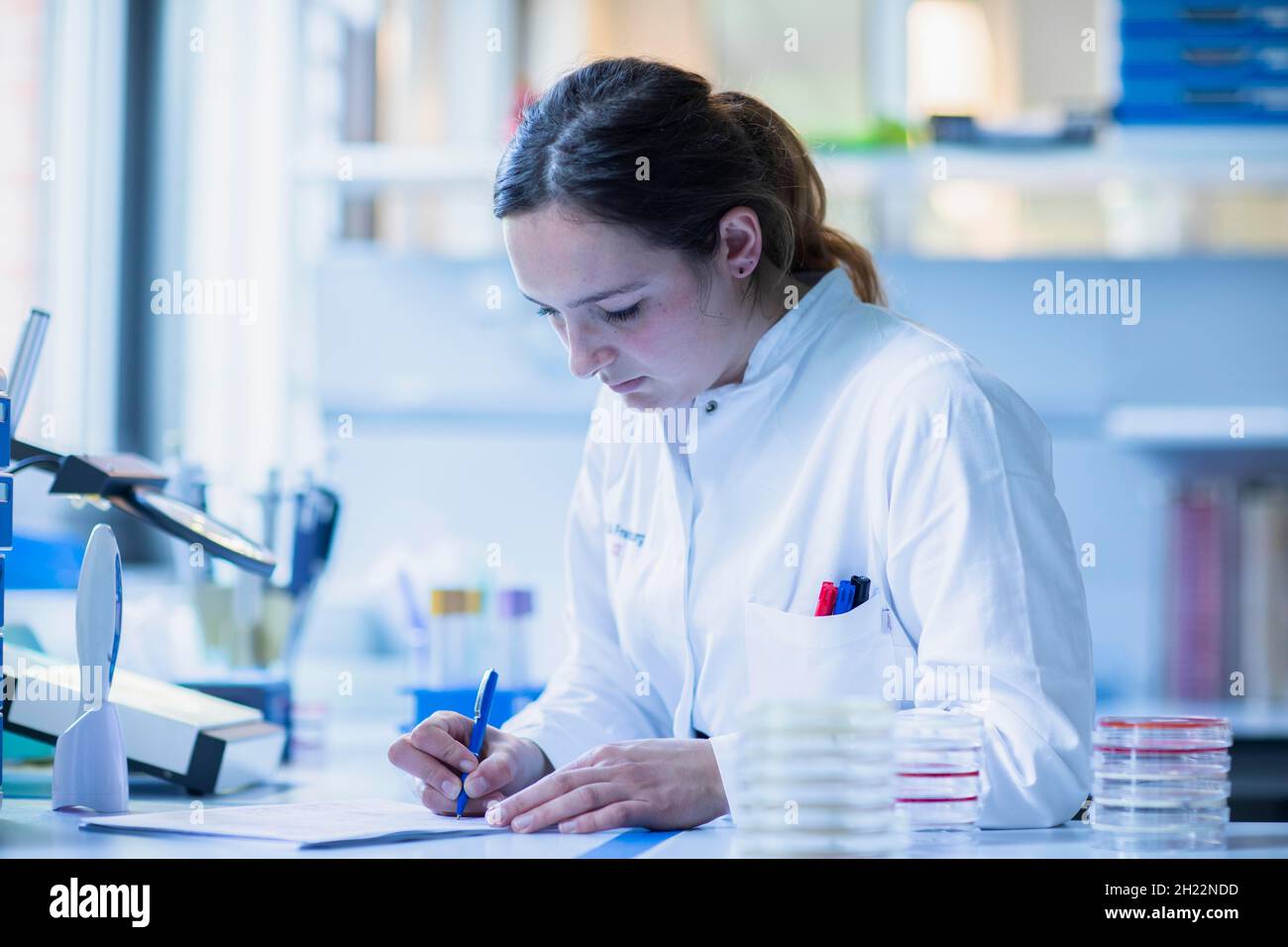 Un technicien de laboratoire avec des échantillons dans une boîte de Petri travaille dans un laboratoire avec des équipements de laboratoire et écrit le protocole, Fribourg, Bade-Wurtemberg, Allemagne Banque D'Images
