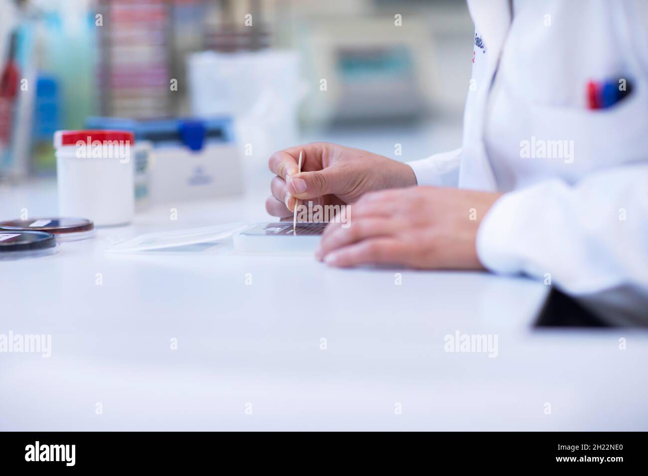 Main d'un technicien de laboratoire avec baguette en bois et échantillon travaillant dans un laboratoire avec équipement de laboratoire, Freiburg, Bade-Wurtemberg, Allemagne Banque D'Images