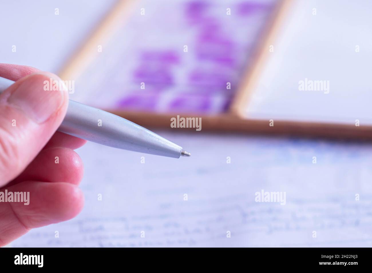 Protocole d'examen histologique en laboratoire avec stylo et lames, Fribourg, Bade-Wurtemberg, Allemagne Banque D'Images