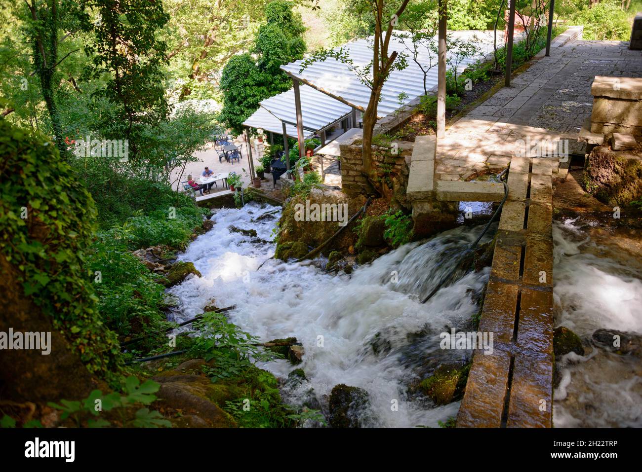 Spring, Cold Water Natural Monument, Uji i Ftothe, Albanie Banque D'Images