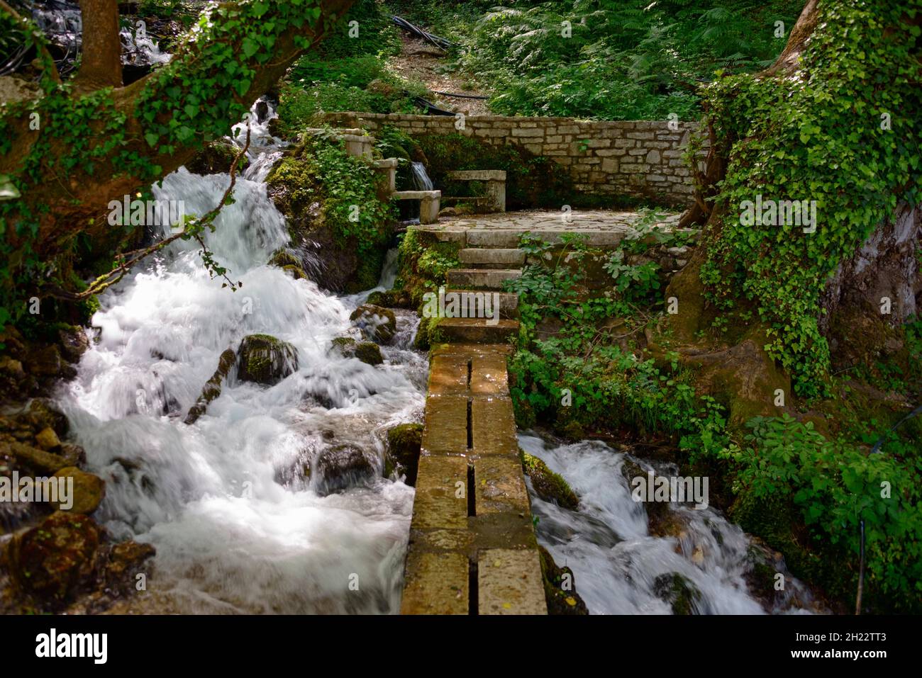 Spring, Cold Water Natural Monument, Uji i Ftothe, Albanie Banque D'Images