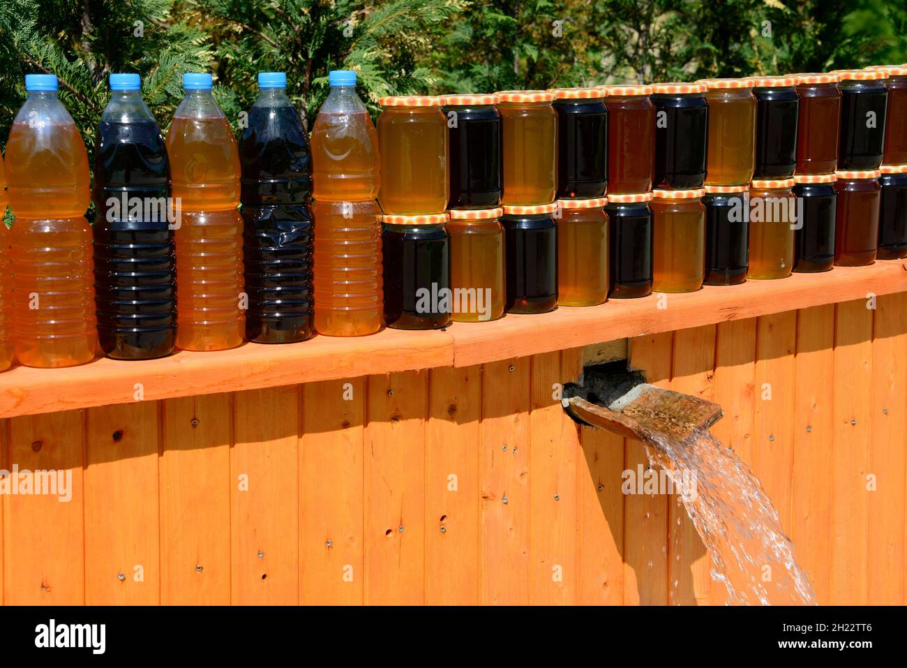 Printemps l'eau rafraîchit l'huile d'olive et miel, Uji j'Ftothe, Albanie Banque D'Images