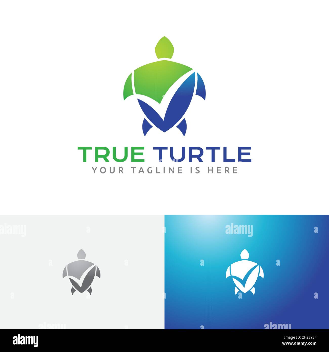 Logo commercial True Valid Turtle Shell Illustration de Vecteur