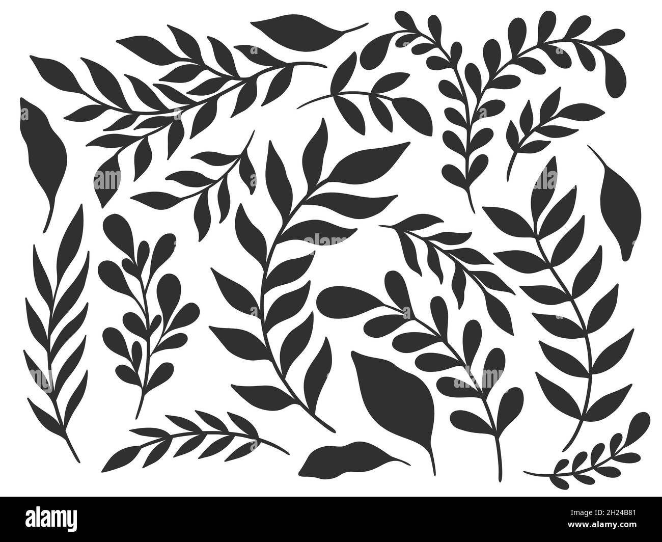 Définir l'élément de silhouette de plante.Collection de congés de branche.Herb nature couleur noire isolée. Illustration de Vecteur