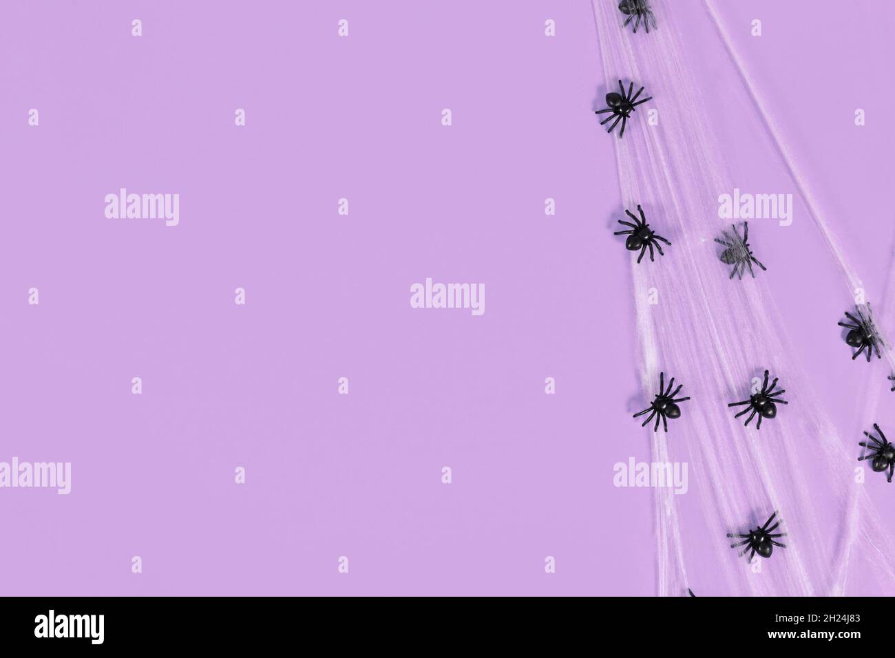 Toile d'araignée et araignées en plastique sur le côté de l'arrière-plan violet d'Halloween avec espace de copie Banque D'Images