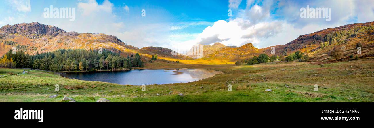 Magnifique Blea Tarn assis dans la vallée avec les Langsdale Pikes comme toile de fond sur un matin d'automne lumineux, Lake District, Cumbria, Angleterre, Royaume-Uni Banque D'Images
