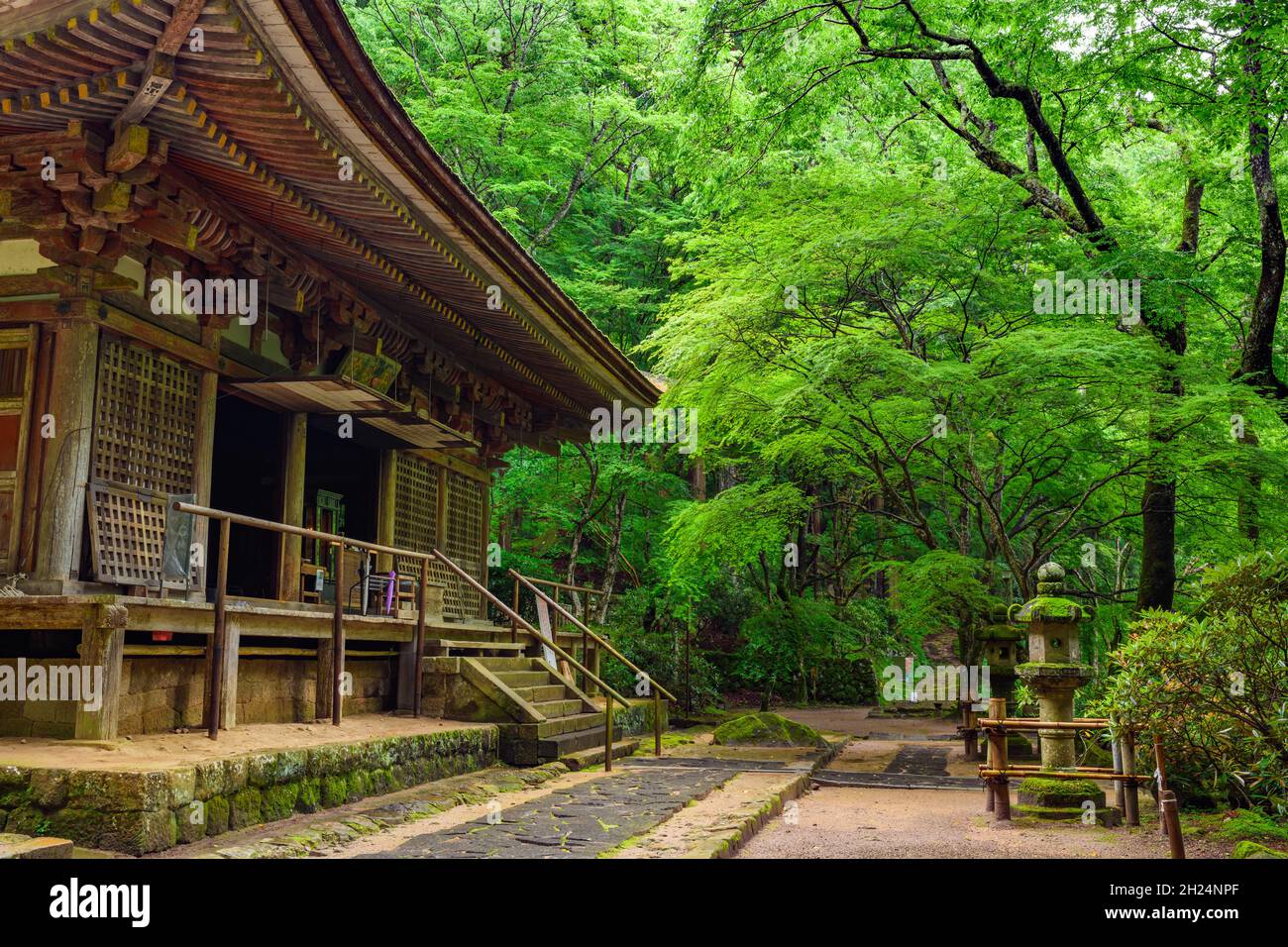 Nara, Japon - 01 juillet 2019 : salle de culte du Temple de Muroji Kondo en forêt, Uda, Nara. Banque D'Images