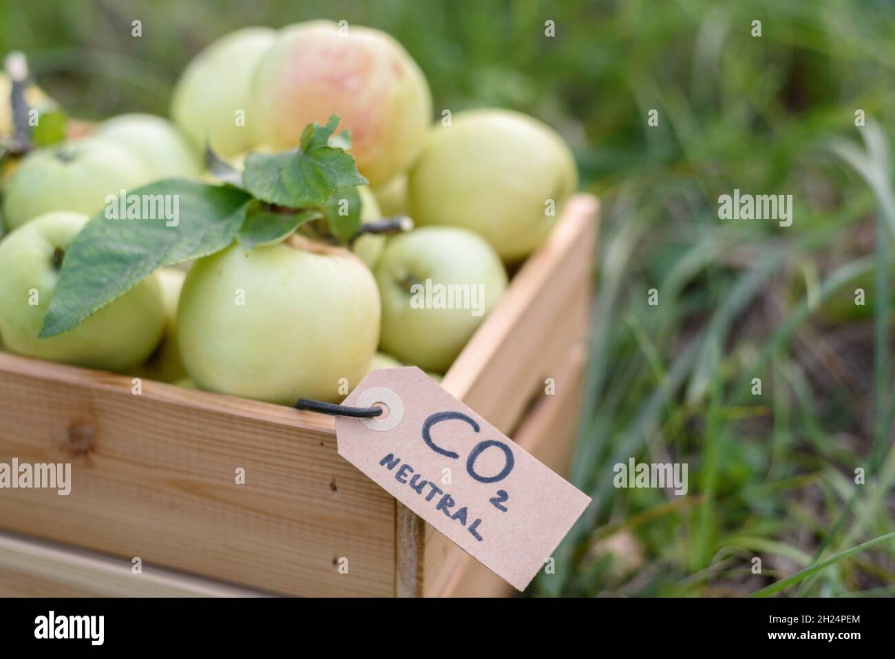 Pommes biologiques locales dans une boîte en bois avec étiquette d'émission de carbone en papier recyclé Banque D'Images