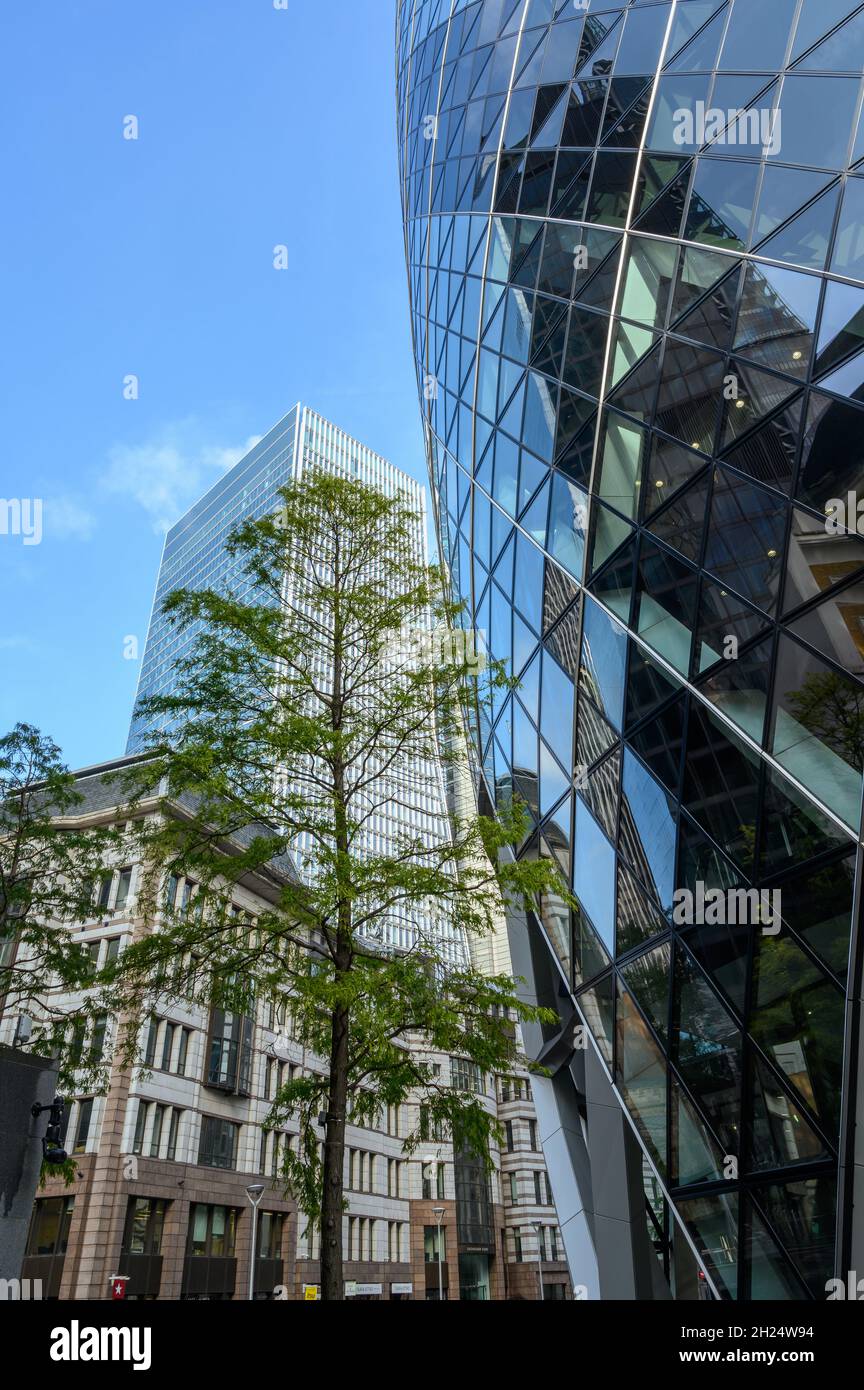 Une vue panoramique sur la façade incurvée du bâtiment Gherkin avec le gratte-ciel Bishopsgate de 100 en arrière-plan à la ville de Londres, en Angleterre. Banque D'Images