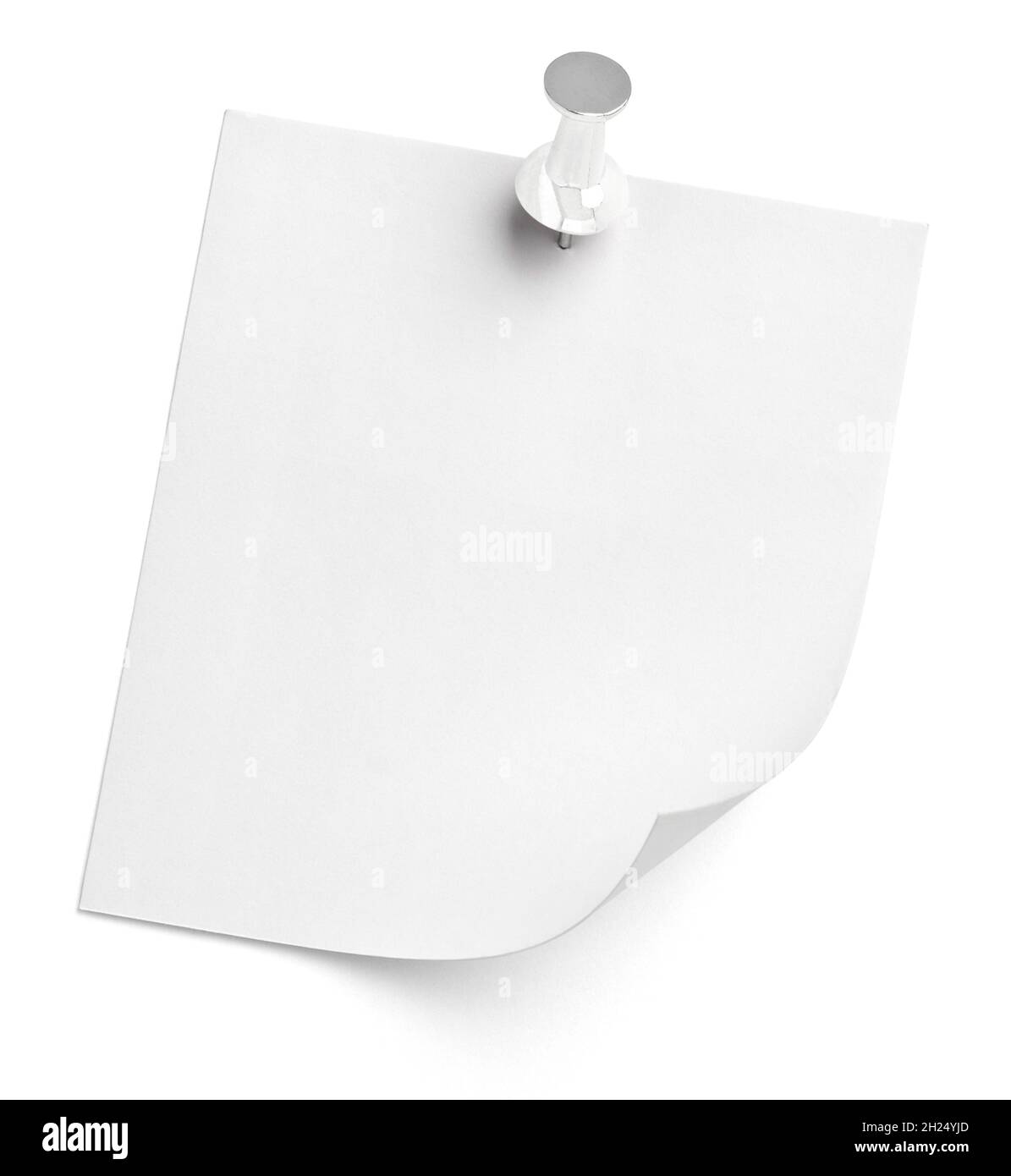 notez le message « punaise » sur papier rouge blanc noir Banque D'Images