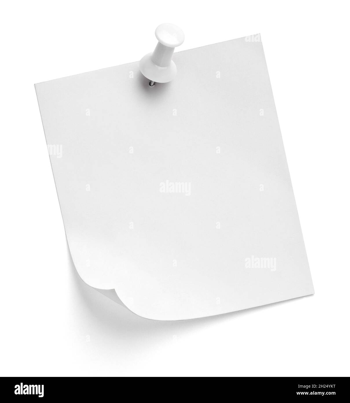 notez le message « punaise » sur papier rouge blanc noir Banque D'Images