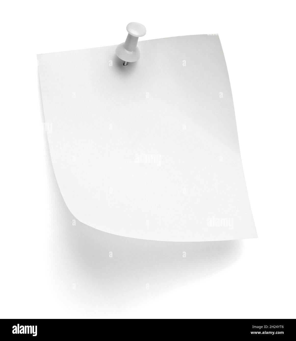 notez le message « punaise » sur papier rouge blanc noir Banque D'Images