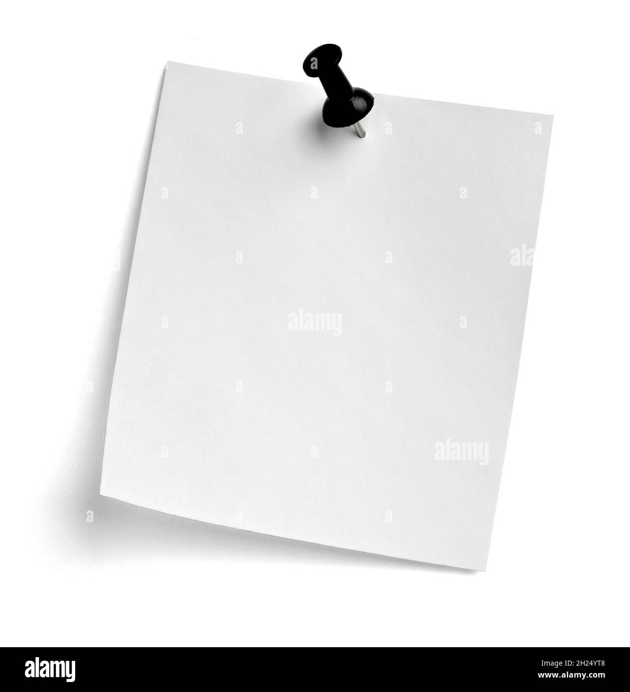 notez le message « punaise » sur papier rouge blanc noir Banque D'Images