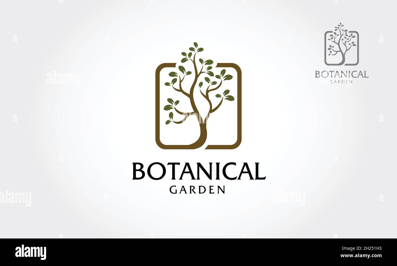 Illustration du logo jardin botanique.Logo illustrant les racines d'un arbre sont connectées dans une disposition carrée.Cette illustration représente la force, etc Illustration de Vecteur