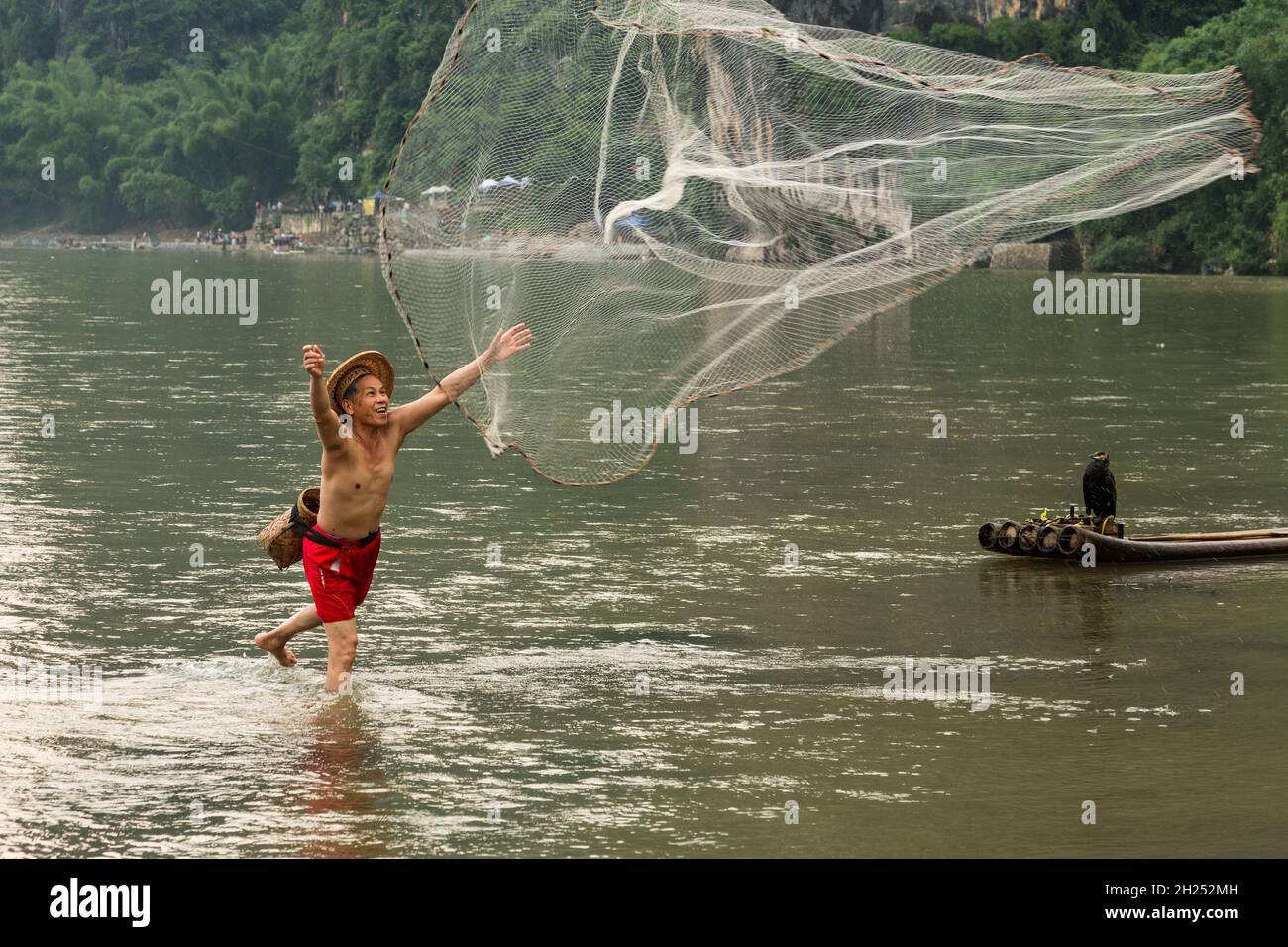 Un pêcheur cormorant dans un chapeau conique jette un filet moulé dans la rivière Li, Xingping, en Chine. Banque D'Images