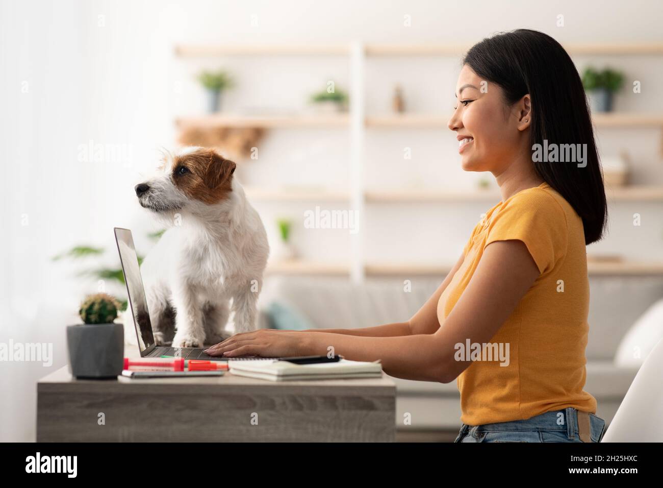 Jeune femme coréenne utilisant un ordinateur portable, assise à une table avec un chien Banque D'Images