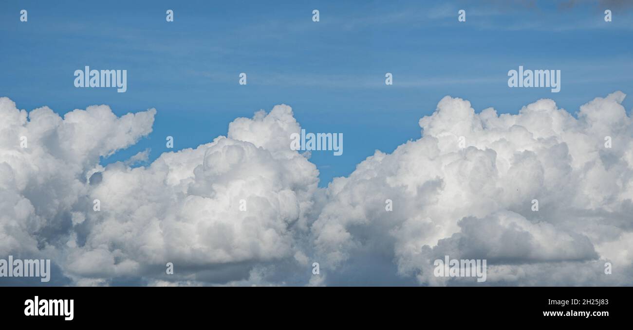 Une ligne de cumulus semblables dans le ciel bleu Banque D'Images